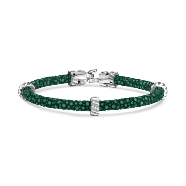B497R Green Stingray with Silver Gears – StingHD